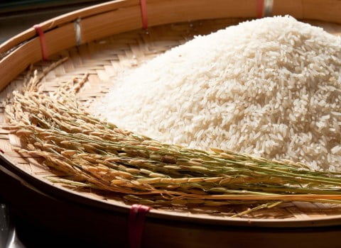 قیمت خرید برنج شمال محلی + فروش ویژه